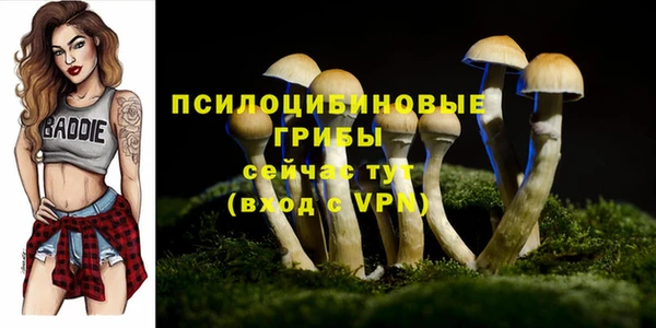 спайс Абдулино