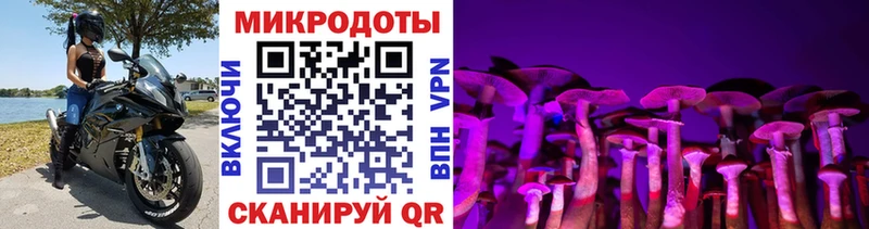 Галлюциногенные грибы Cubensis  ОМГ ОМГ ССЫЛКА  Донецк 